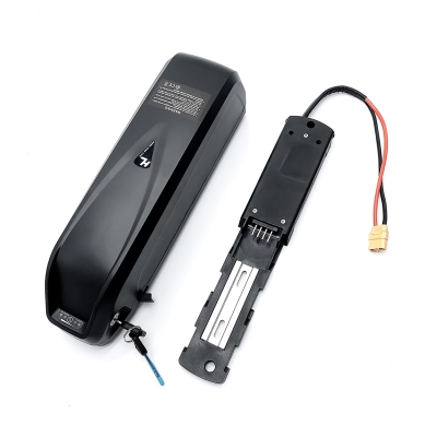 52V 14ah Hailong Ebike Battery with Charger  for Electric Bike 